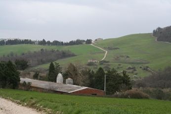 Vendita Azienda agricola Todi