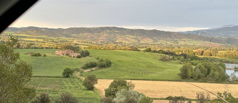 Vendita Rustico casale CAMPAGNATICO