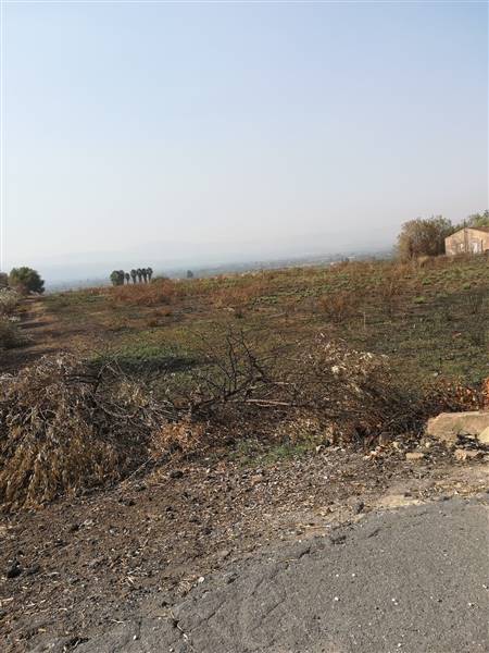 Vendita Terreno agricolo LENTINI
