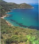 Vendita Villa Capannoli
