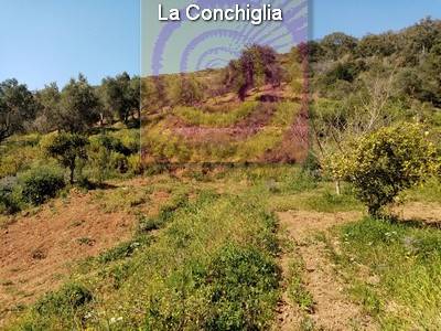 Vendita Terreno agricolo RIO