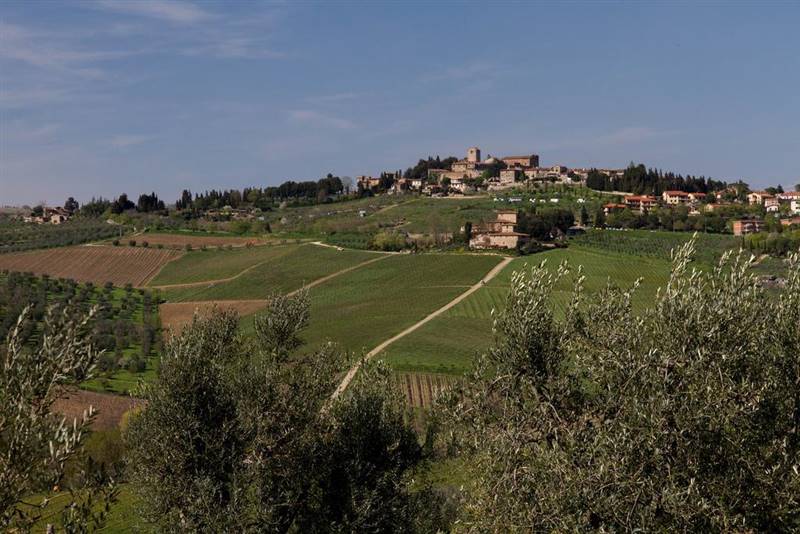 Vendita Rustico casale GREVE IN CHIANTI