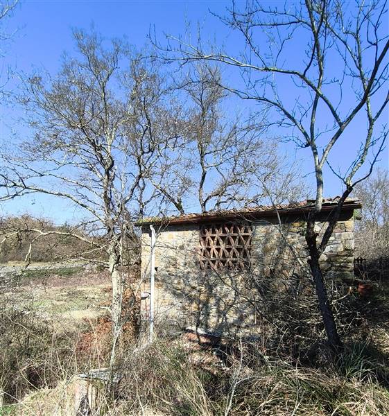 Vendita Rustico casale GREVE IN CHIANTI
