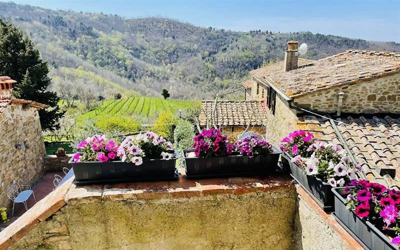 Vendita Colonica GREVE IN CHIANTI