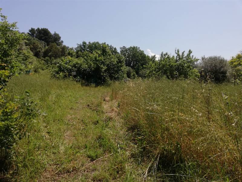 Vendita Rustico casale PIANA DI MONTE VERNA