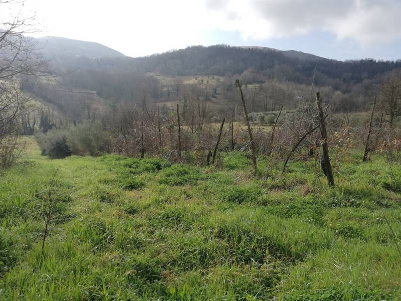 Vendita Terratetto PIANA DI MONTE VERNA