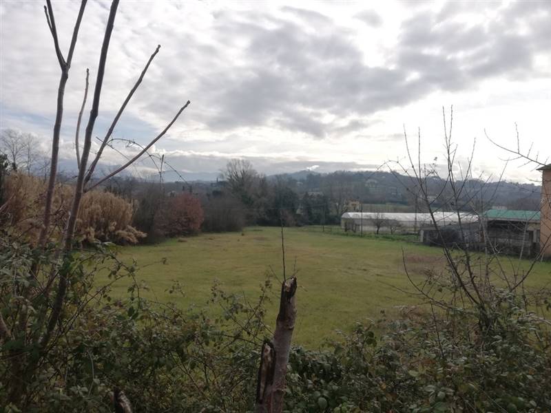 Vendita Terreno CAIAZZO