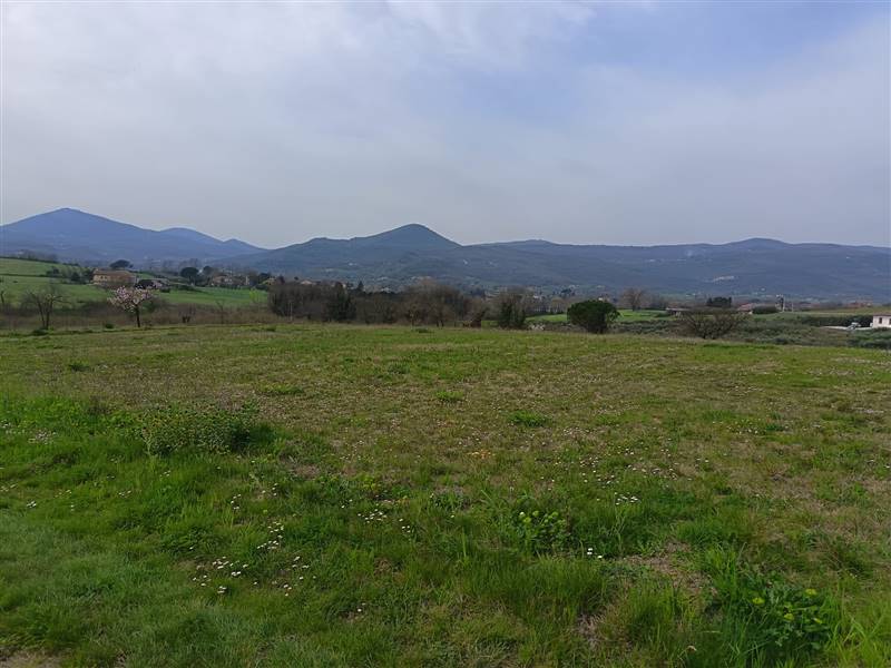 Vendita Terreno ALVIGNANO