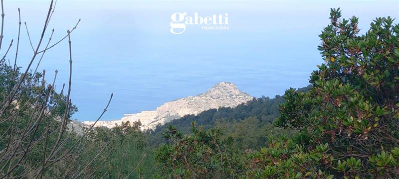 Vendita Terreno agricolo CEFALU'