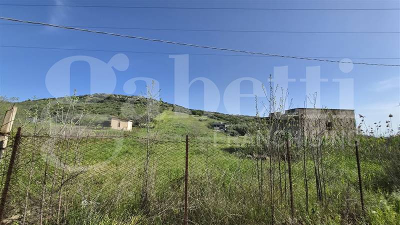 Vendita Terreno agricolo BAGHERIA