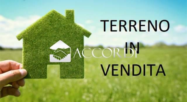 Vendita Terreno agricolo MONTEBELLUNA