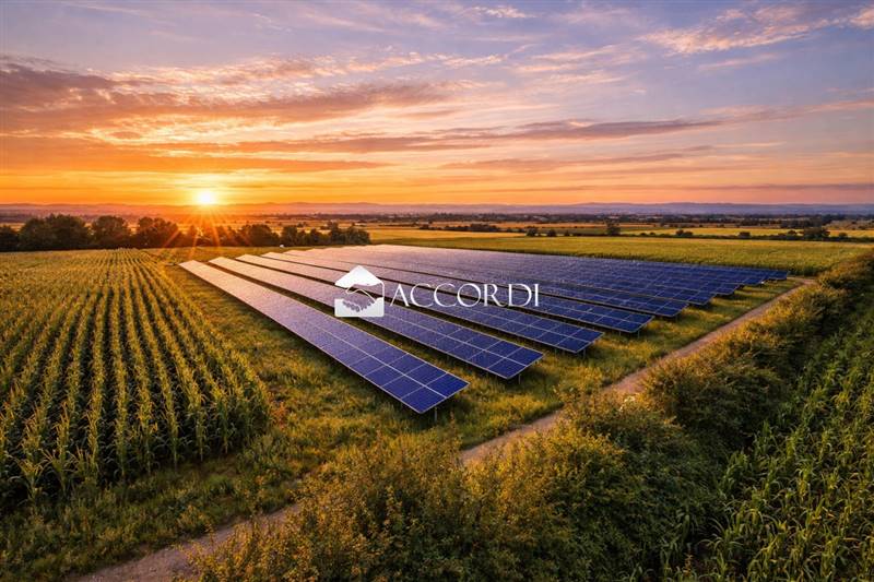 Vendita Terreno agricolo CONCORDIA SAGITTARIA