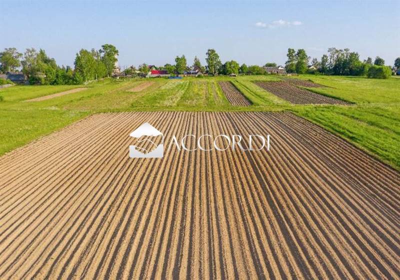 Vendita Terreno agricolo TREVISO