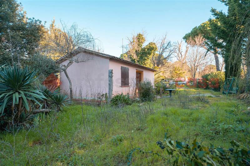 Vendita Magazzino CECINA
