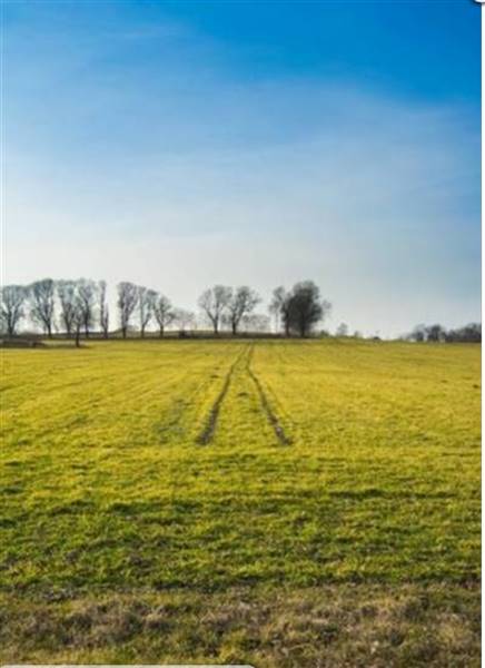 Vendita Azienda agricola VIGEVANO