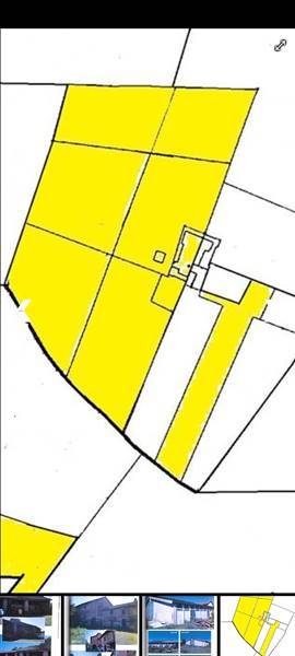 Vendita Azienda agricola STRADELLA