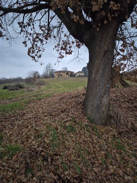 Vendita Rustico casale NIZZA MONFERRATO