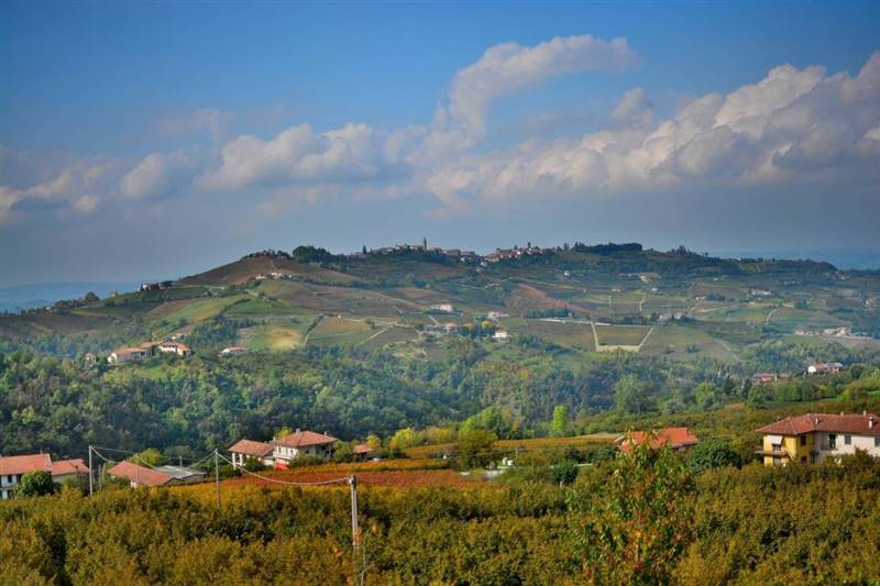 Vendita Azienda agricola ALBA