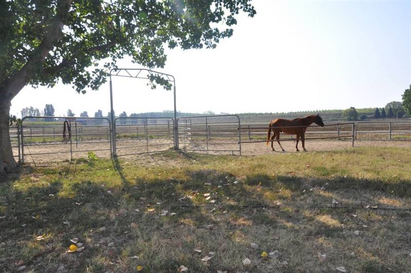 Vendita Azienda agricola CASTEL SAN GIOVANNI