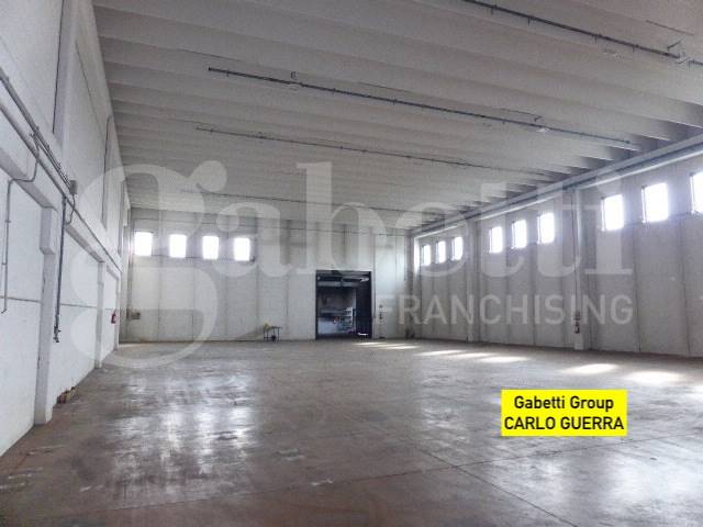 Affitto Capannone industriale VILLORBA