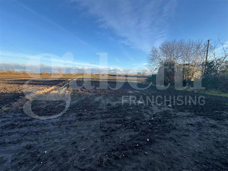 Vendita Terreno agricolo SAN TAMMARO