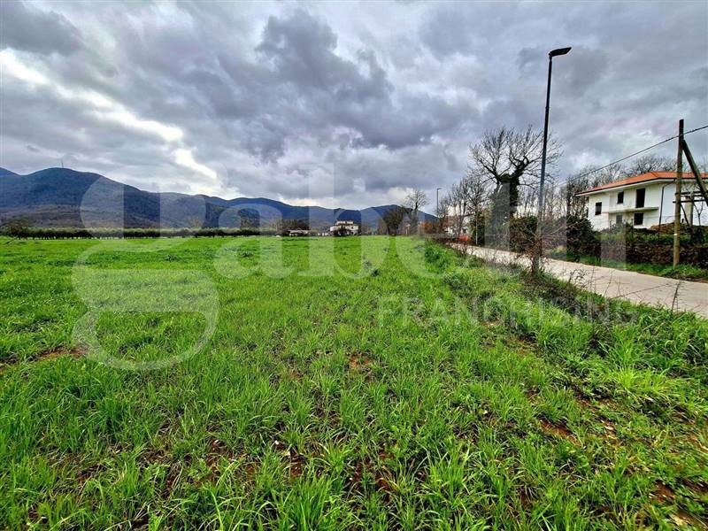 Vendita Terreno agricolo RIARDO