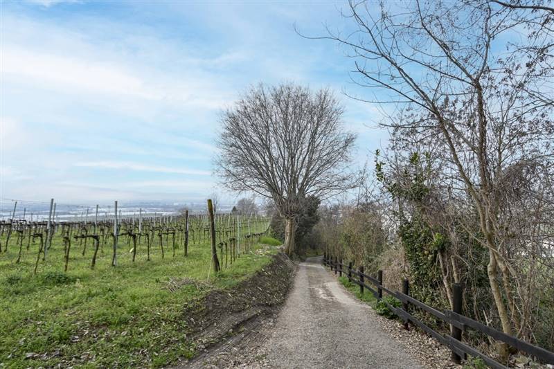 Vendita Terreno agricolo CHIUDUNO