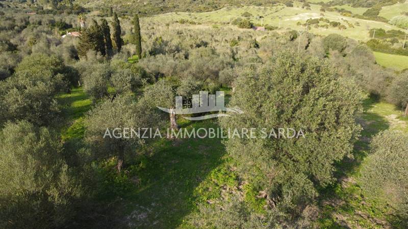 Vendita Terreno agricolo ALGHERO