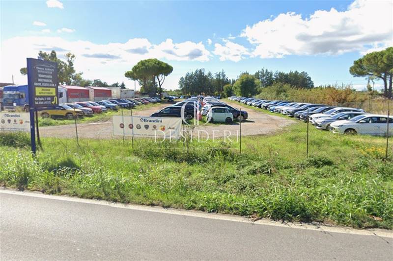 Affitto Terreno agricolo GROSSETO