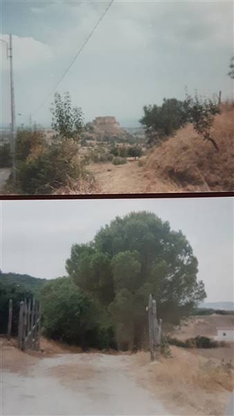 Vendita Terreno agricolo ROCCA IMPERIALE