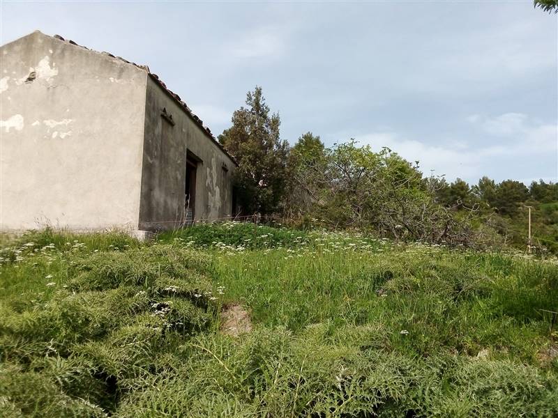 Vendita Azienda agricola ORIOLO