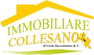IMMOBILIARE COLLESANO S.A.S DI CARLA SACCOMANNO & C.