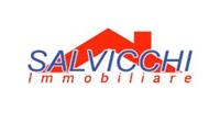 SALVICCHI IMMOBILIARE 