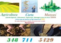 Studio Oreste Cirelli