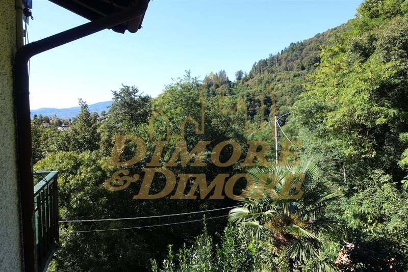 Vista dall'ingresso.JPG