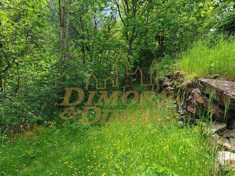 Sentiero lato fiume.jpg