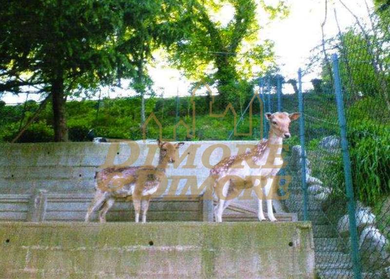 Screenshot 2024-05-06 alle 12.14.41.jpg