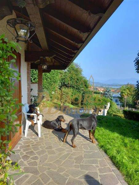 Screenshot 2024-05-06 alle 12.13.23.jpg