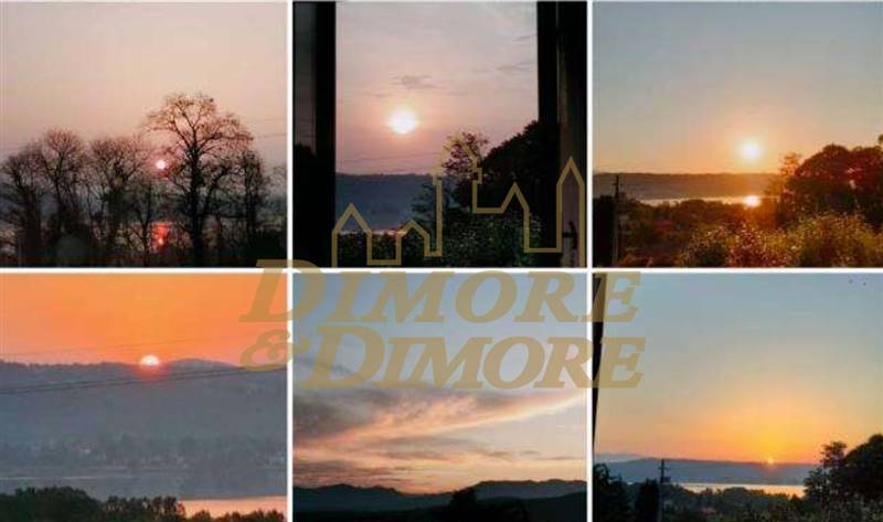 Screenshot 2024-05-06 alle 12.16.02.jpg