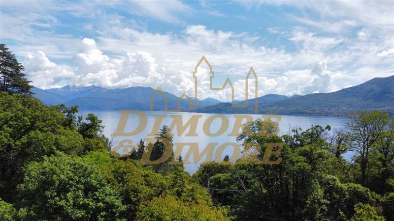 dji_fly_20240522_113328_216_1716370427008_photo_op