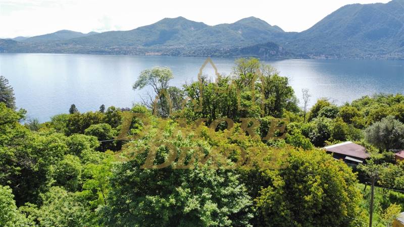 dji_fly_20240522_113858_231_1716370746806_photo_op