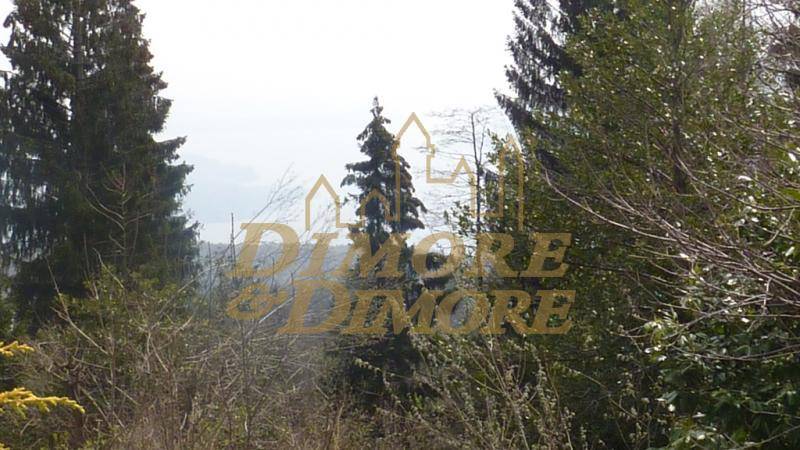 appartamento-a-premeno-con-vista-lago-maggiore-13