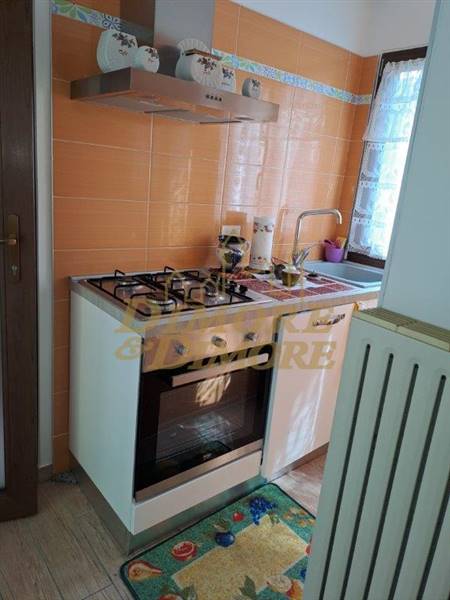 PHOTO-2024-04-08-14-39-44 (7).jpg