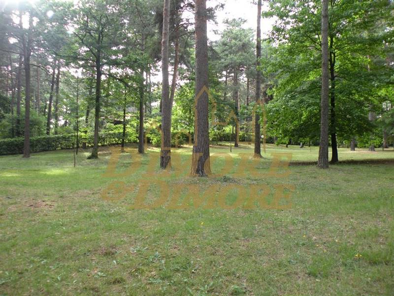 Terreno lotto 675 Boscogrande.jpg