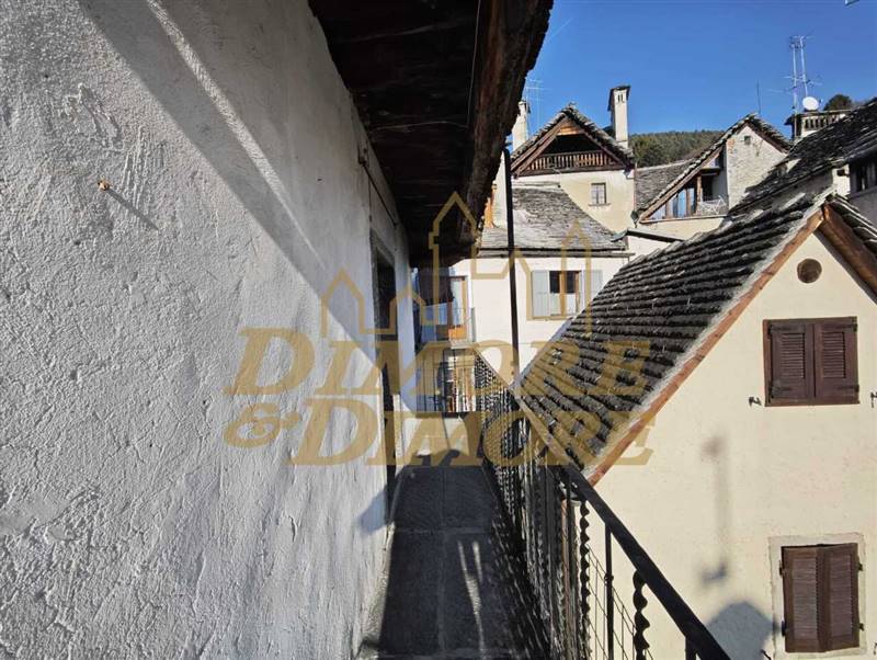 PHOTO-2026-01-17-09-52-45 3.jpg