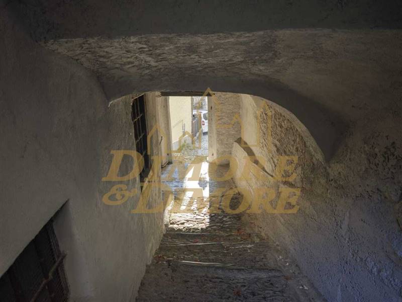 PHOTO-2026-01-17-09-52-55 2.jpg