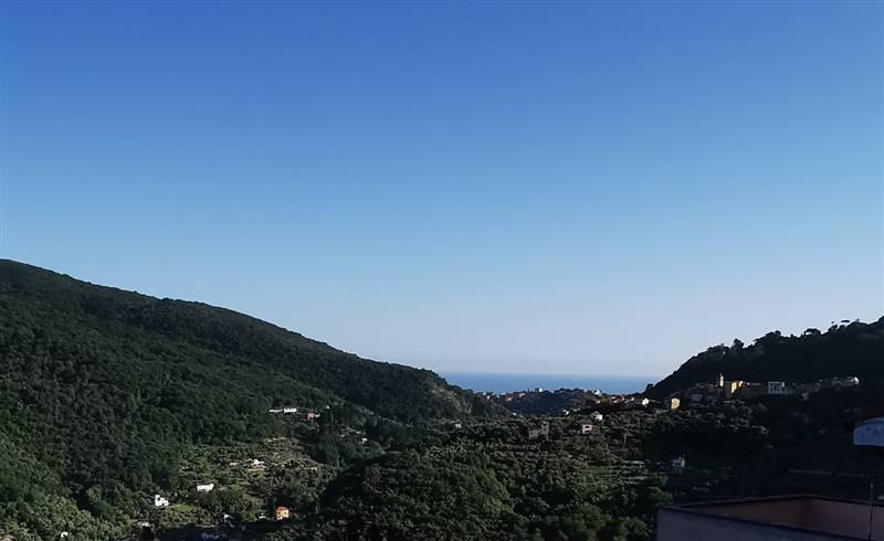 WhatsApp Image 2024-10-17 at 11.28.07 (1).jpeg