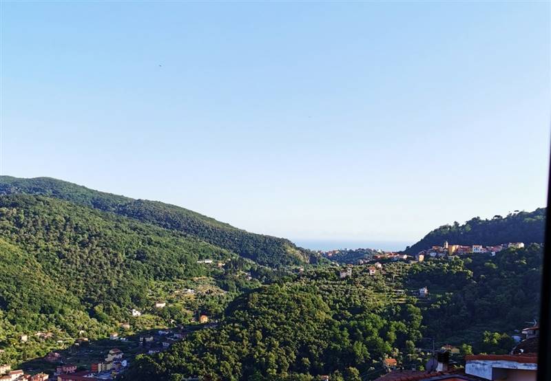 WhatsApp Image 2024-10-17 at 11.28.04.jpeg