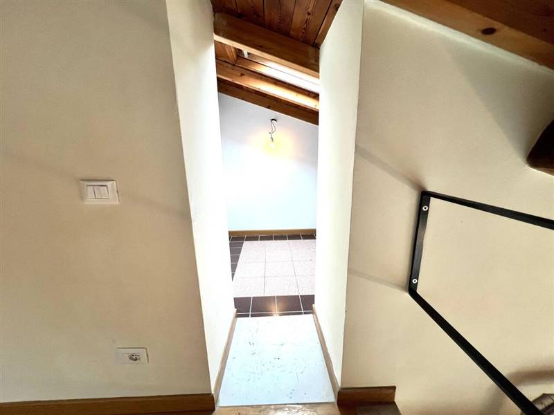 WhatsApp Image 2025-07-28 at 15.37.45(1).jpeg