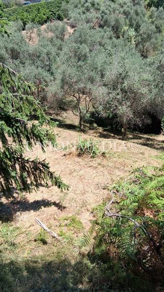 WhatsApp Image 2025-07-11 at 10.25.26 (3).jpeg